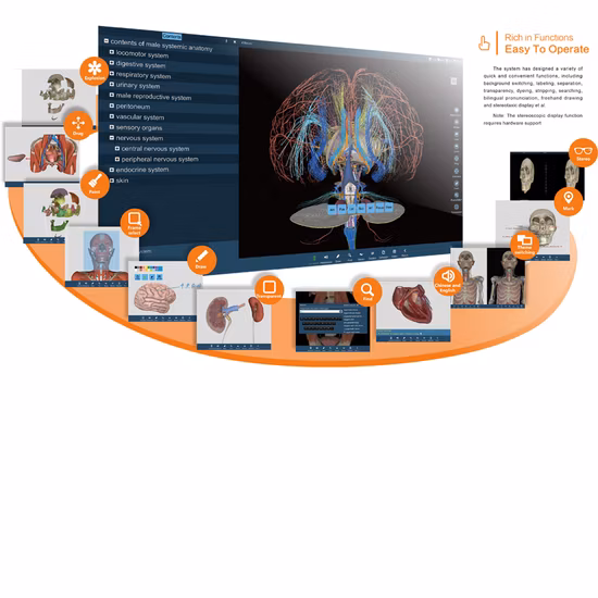 Virtueller Anatomietisch für 3D-Anatomieunterricht mit Touchscreen